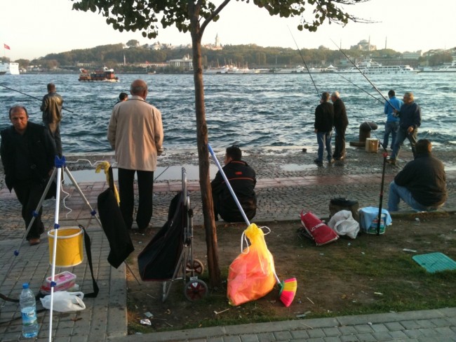 photo19